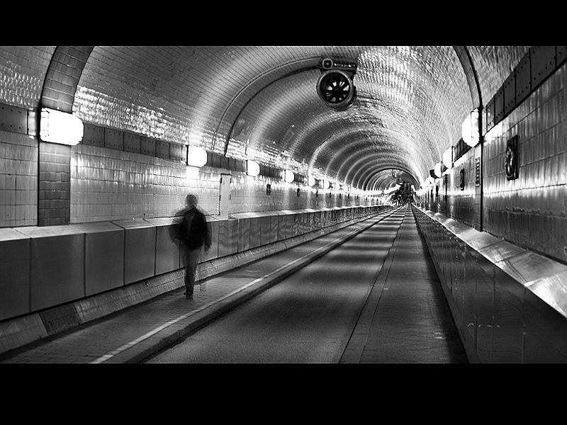 600 - alta tunnel - MARTIN Jon - united kingdom.jpg